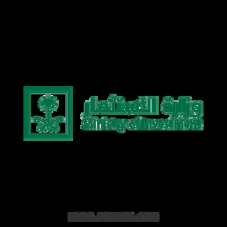 وزارة الاستثمار