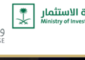 وزارة الاستثمار